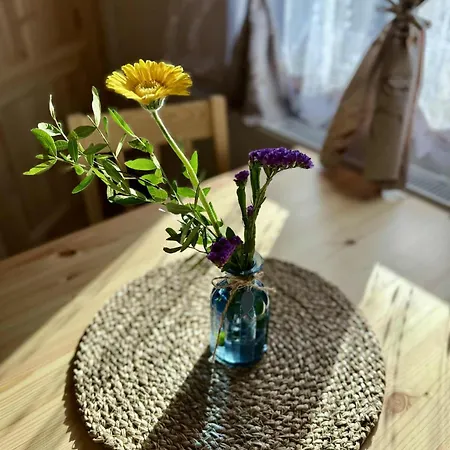 Apartamento U Náměstí *